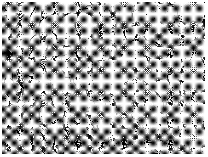 Austenitic heat-resistant stainless steel and processing method thereof