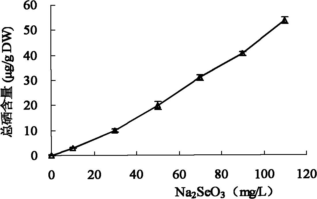 Method for cultivating selenium-rich bean sprouts