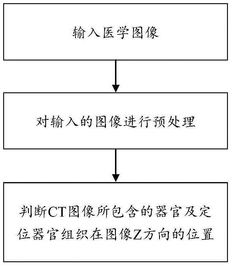 Method for positioning organs in medical image