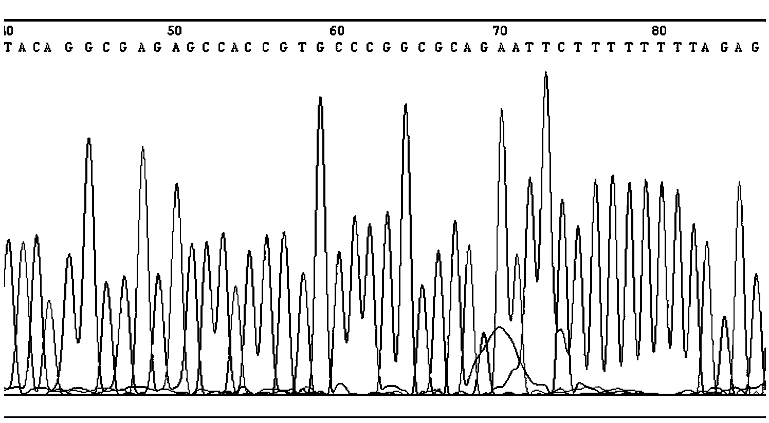 High-flux simple and convenient purification method by magnetic beads for sequencing product