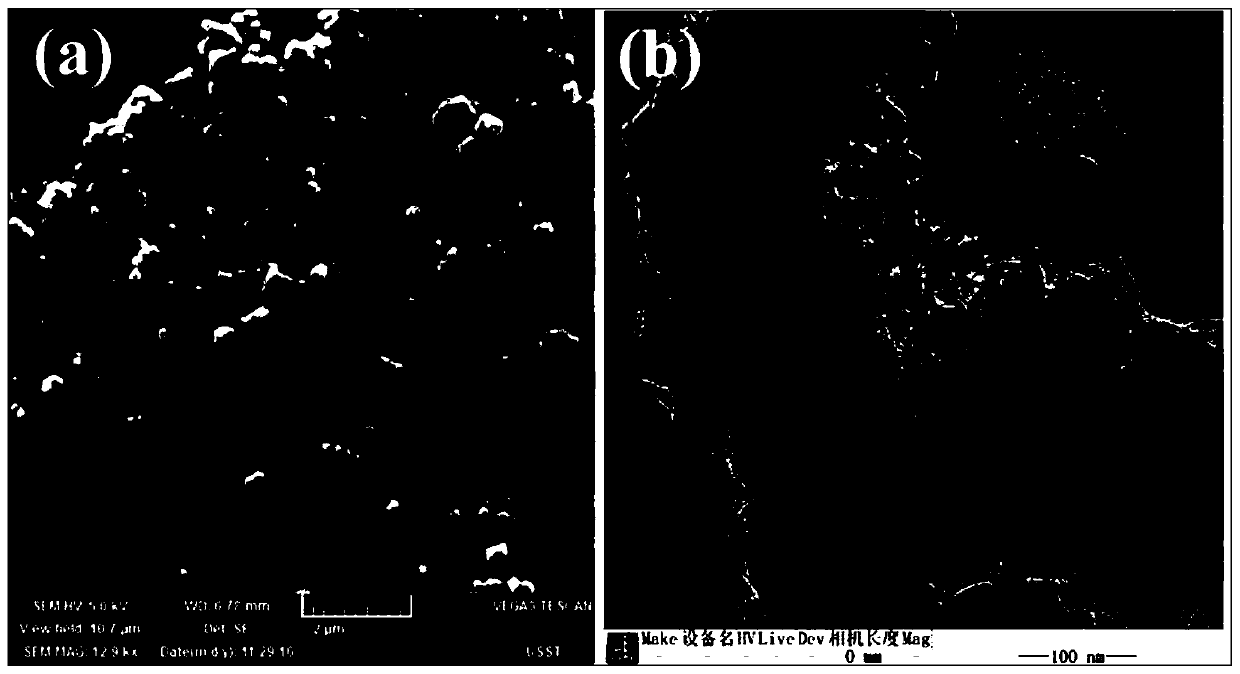 A polyamino acid/mos  <sub>2</sub> Preparation methods and applications of nanoclusters