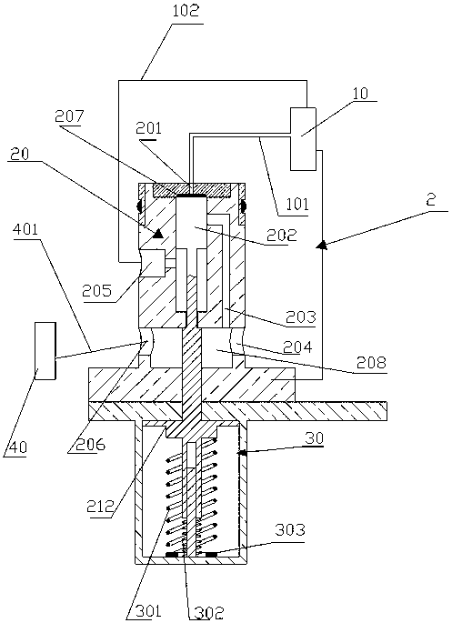 Fuel adjustment pump with spring vibration device