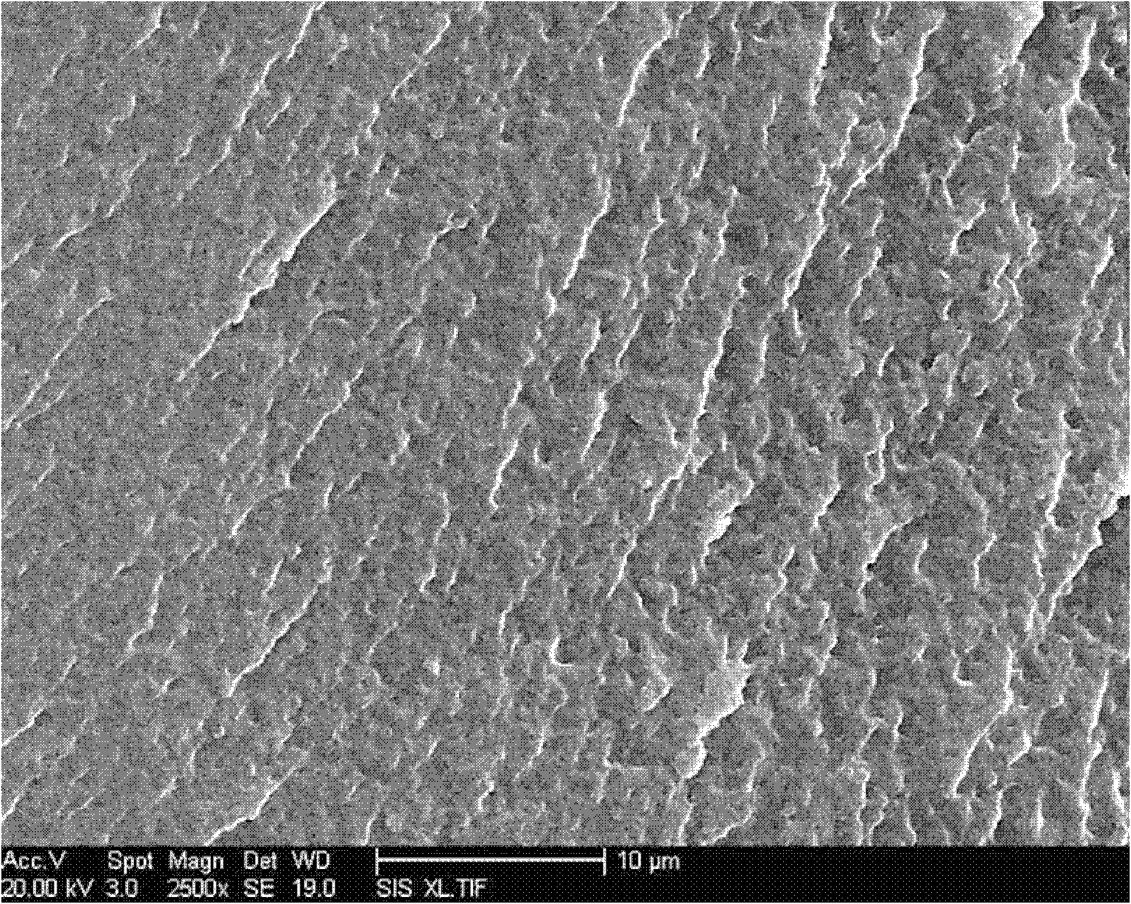 Preparation method of interpenetrating network structure p(liamps)-based single ion transport gel polymer electrolyte film