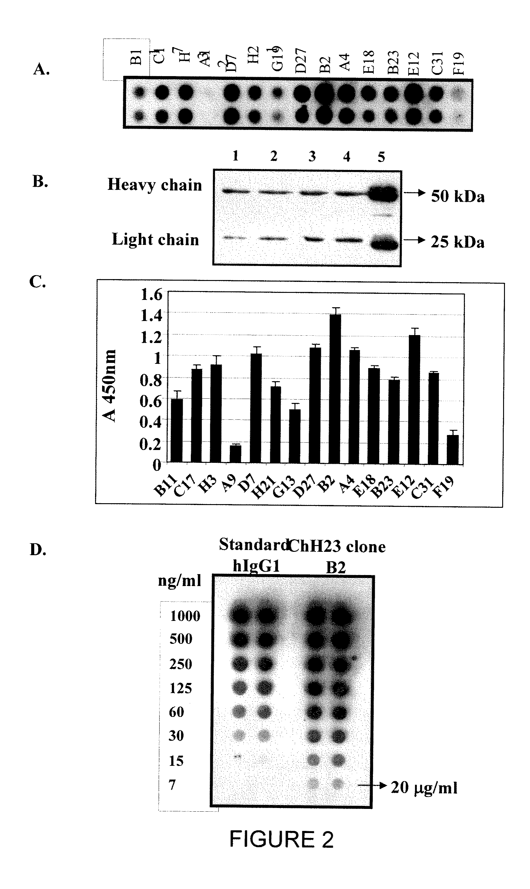 Recombinant fusion protein and polynucleotide construct for immunotoxin production