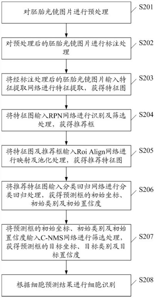 Method and system for identifying cells in embryo light microscope image, equipment and storage medium