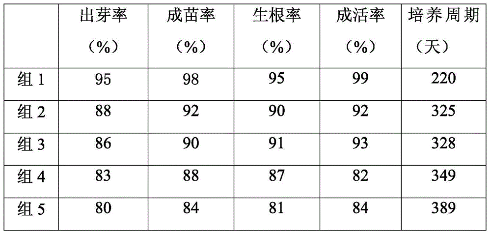 A method for establishing a rapid propagation system of Kunming mountain crabapple