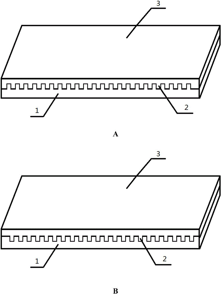 Biological patch for tissue damage restoration