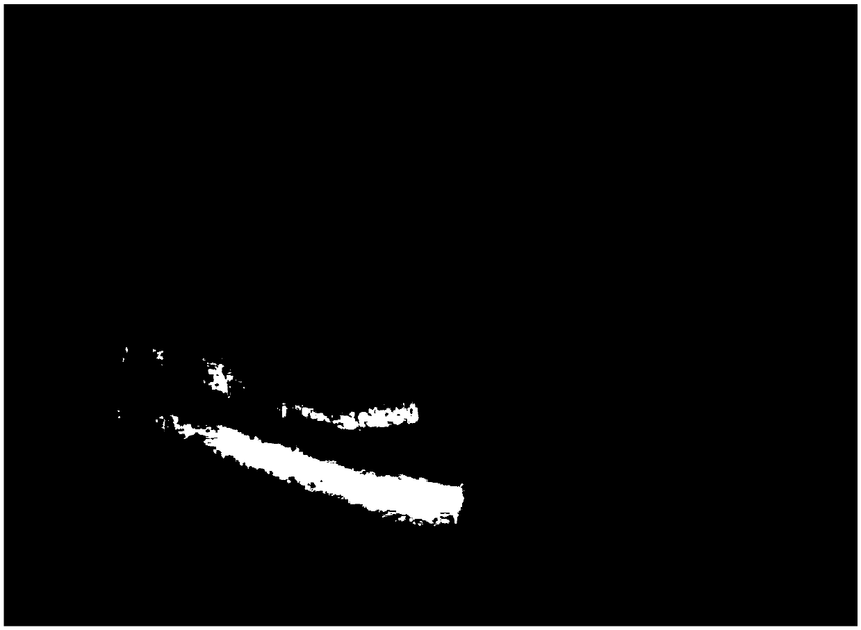 Algae fiber facial mask base fabric and preparation method thereof