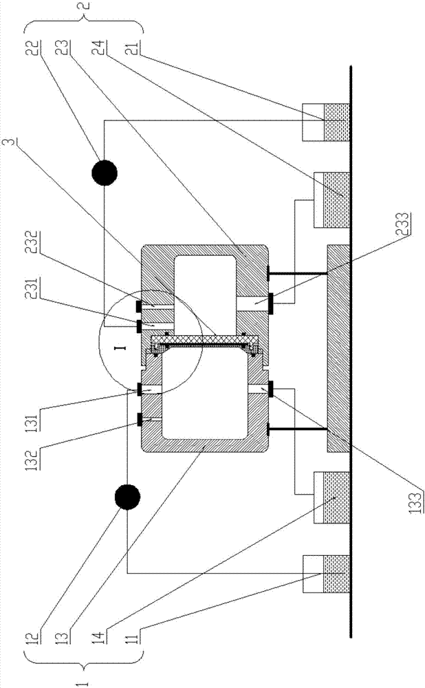 Filtering recovery device related to cryptosporidium and giardia and filtering recovery system related to cryptosporidium