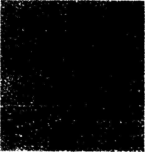 Multifunctional fluorescent, magnetic Nano material and preparation method