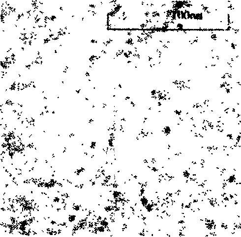 Multifunctional fluorescent, magnetic Nano material and preparation method