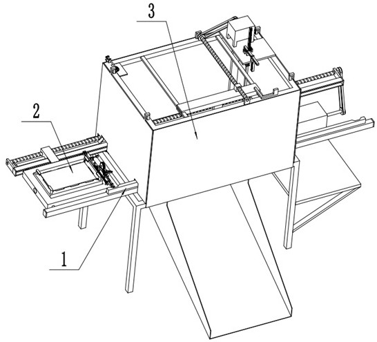 Semiconductor workpiece double-sided detection device