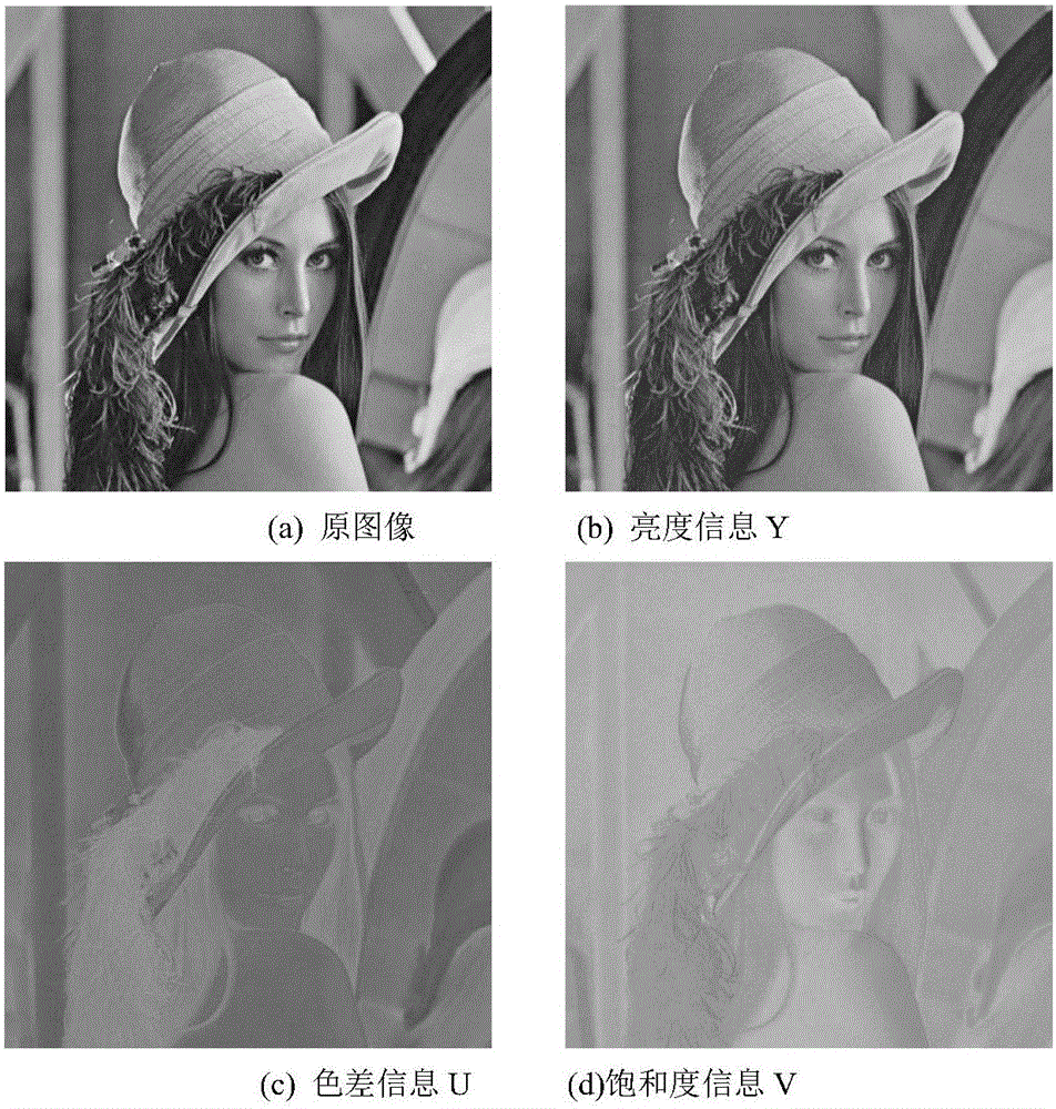 Priority constraint colorful image sparse expression restoration method