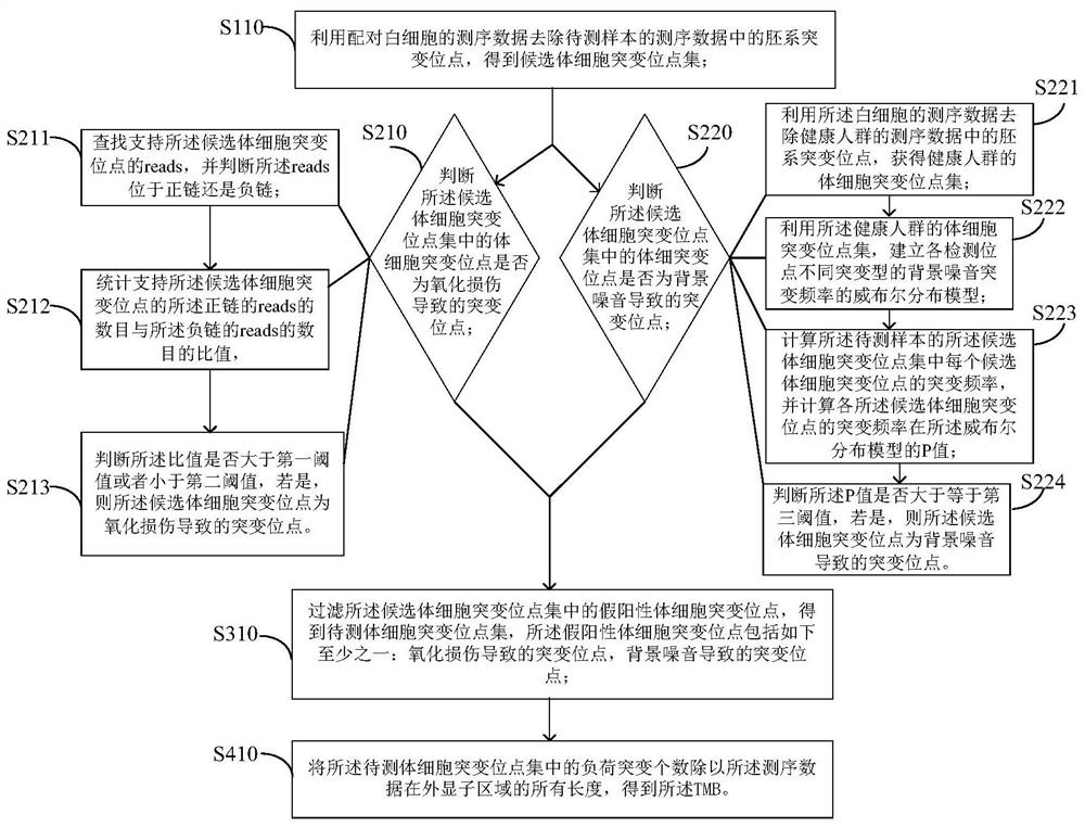 Method and device for detecting tmb