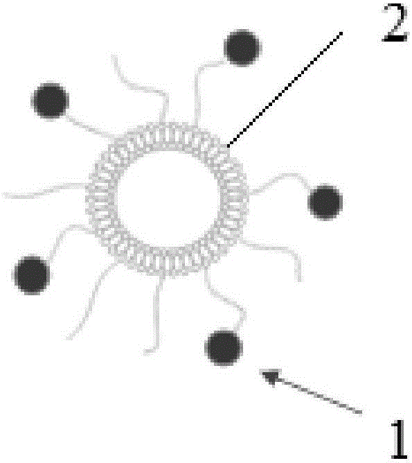 Targeting gene carrier as well as preparation method and applications thereof