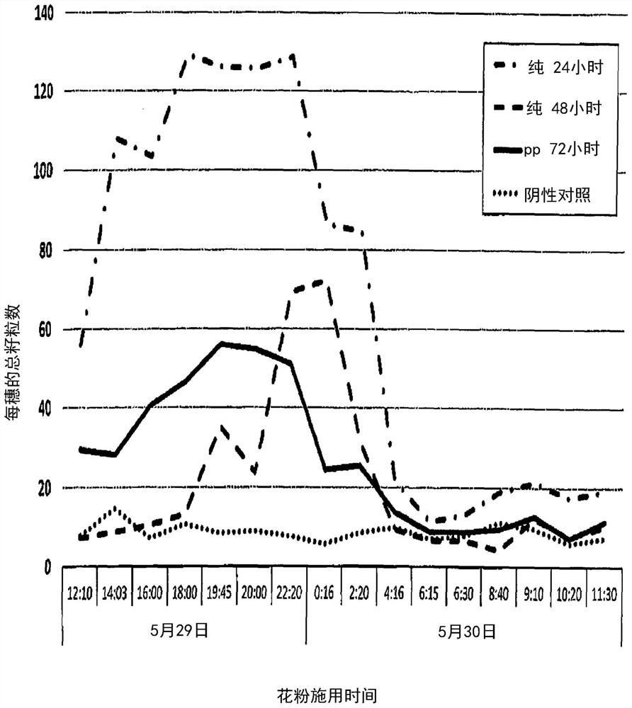 Methods and systems for grain crop pollination time