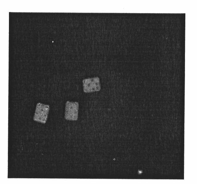 Suspension chip-based multiple solid phase amplification detection method