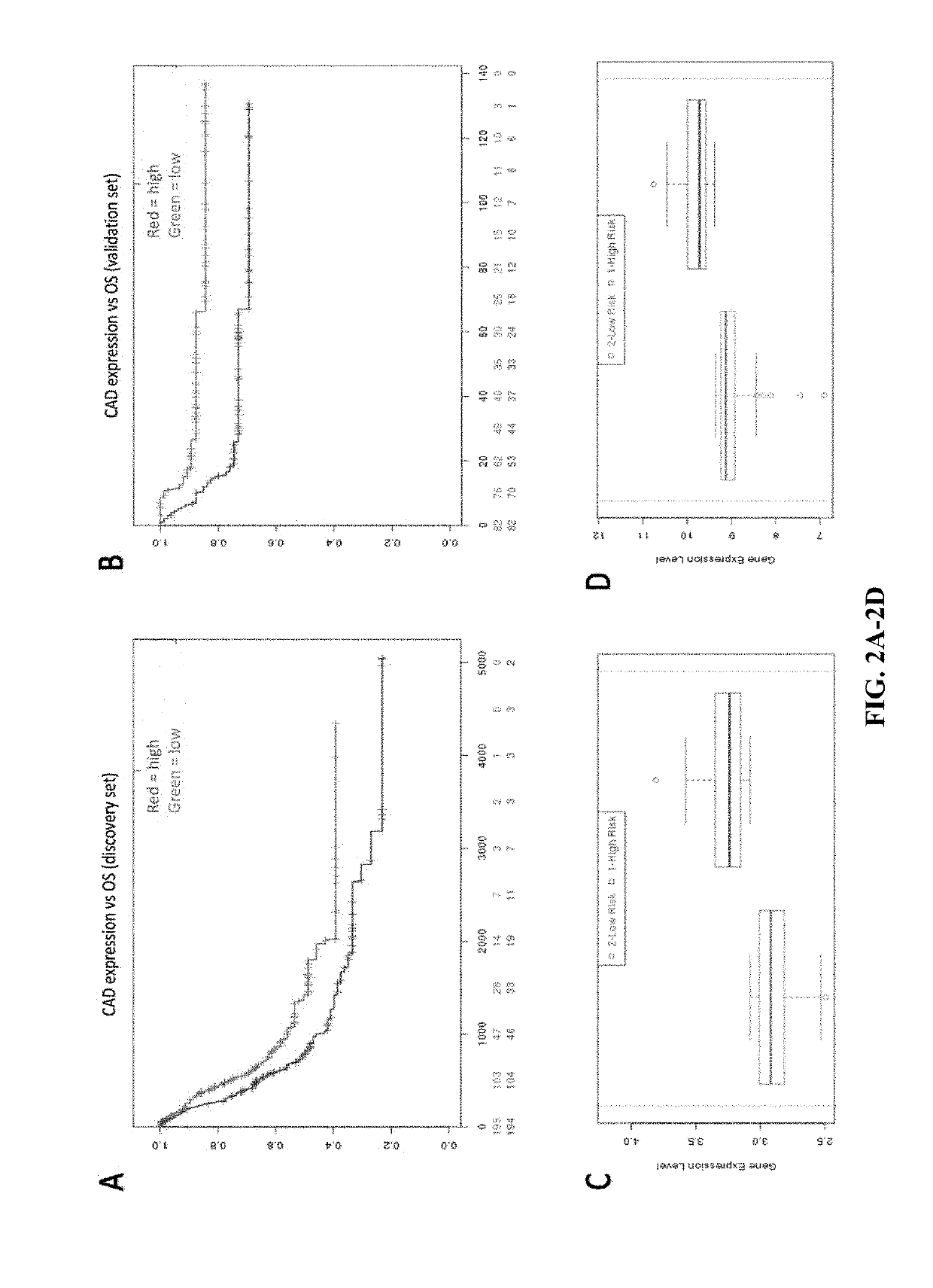 Biomarkers in de novo pyrimidine synthesis pathways and chemoresistance