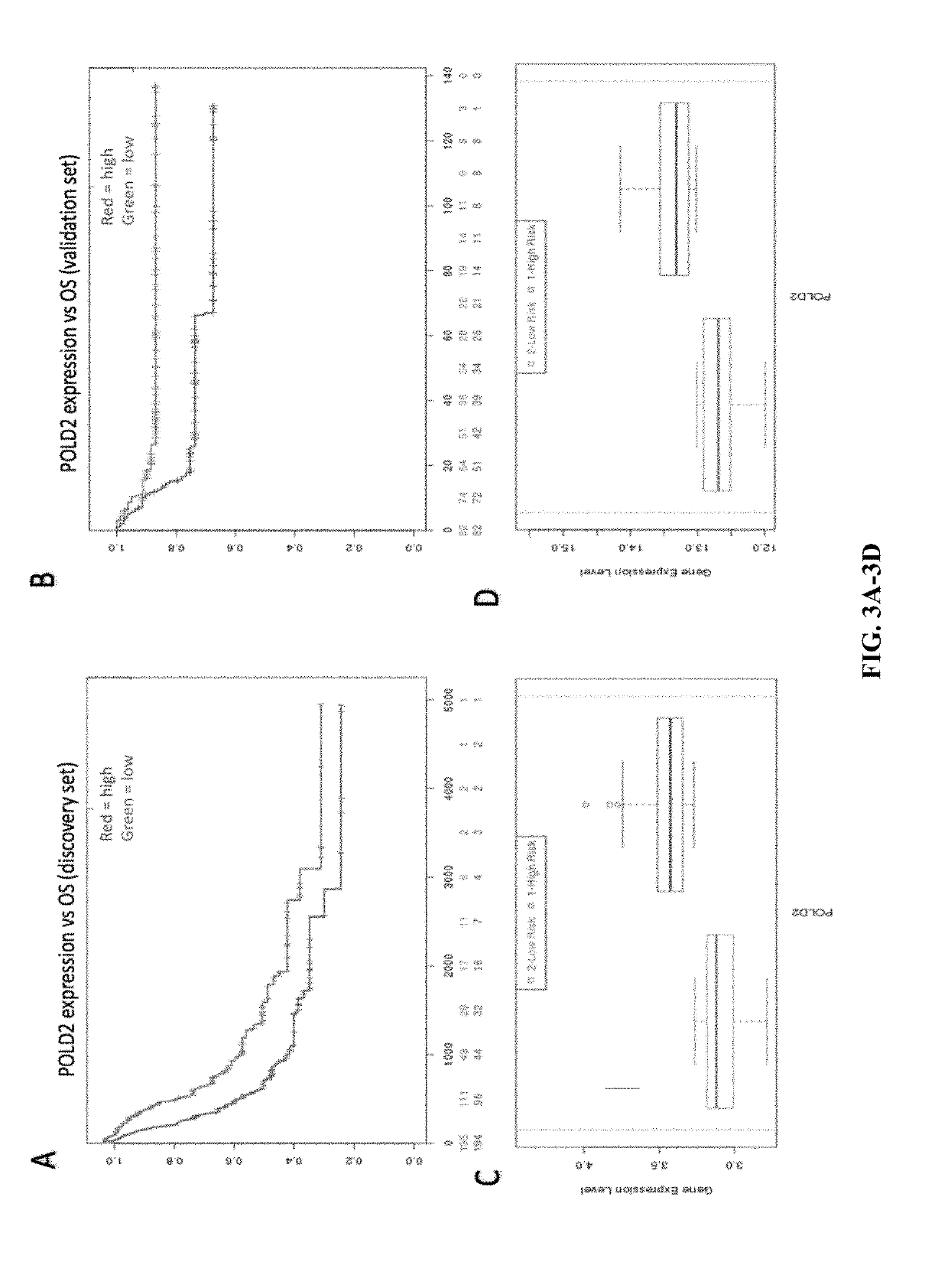 Biomarkers in de novo pyrimidine synthesis pathways and chemoresistance