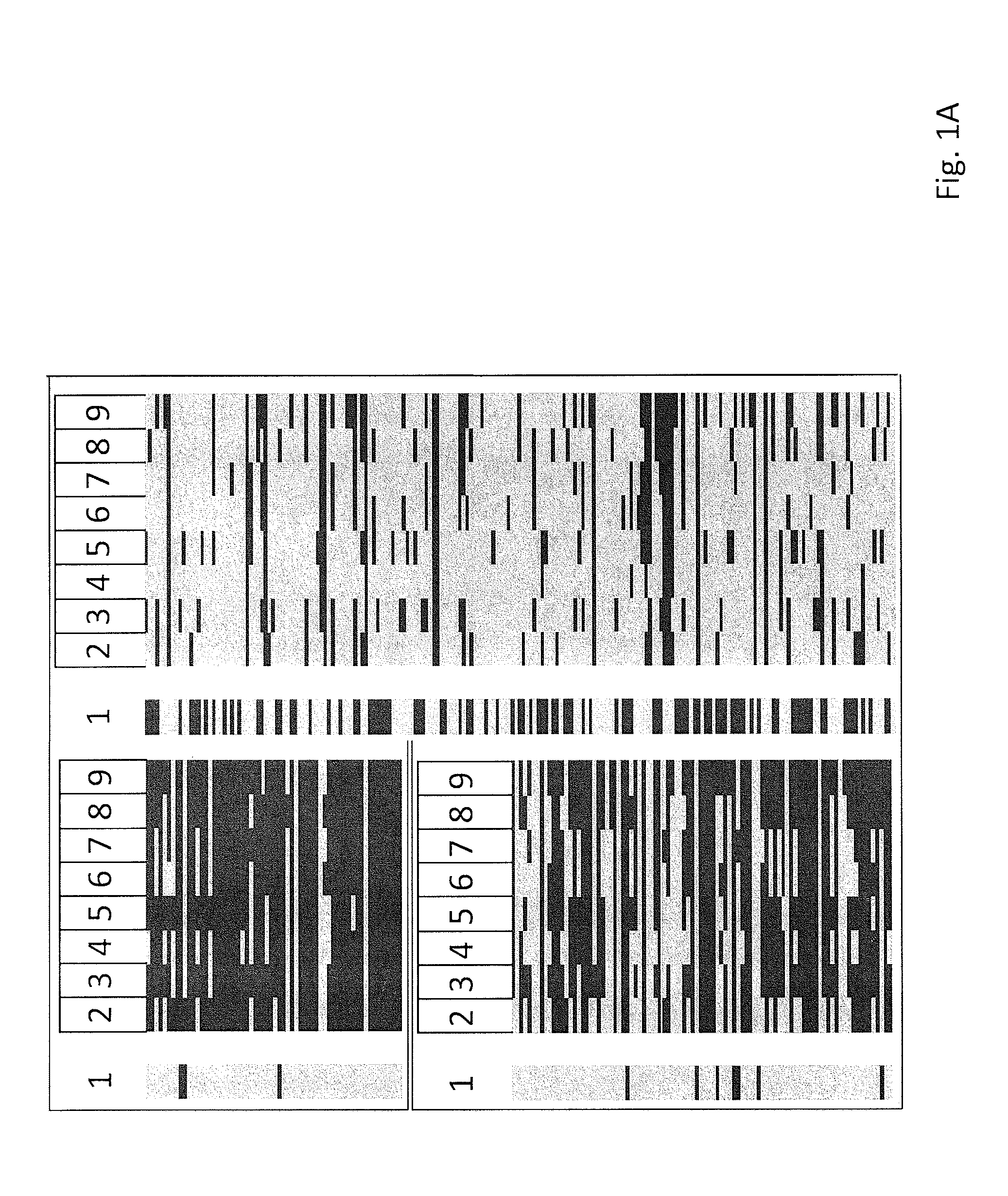 Methods and compositions related to a multi-methylation assay to predict patient outcome