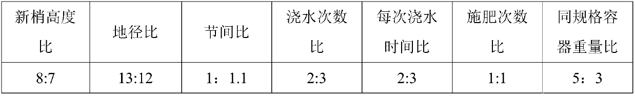 Container seedling matrix composition and preparation method thereof