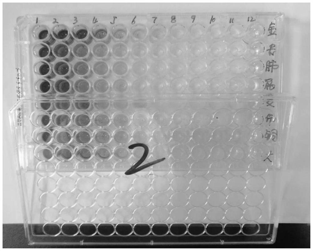 Application of Plum Extract in Preparation of Antibacterial Products