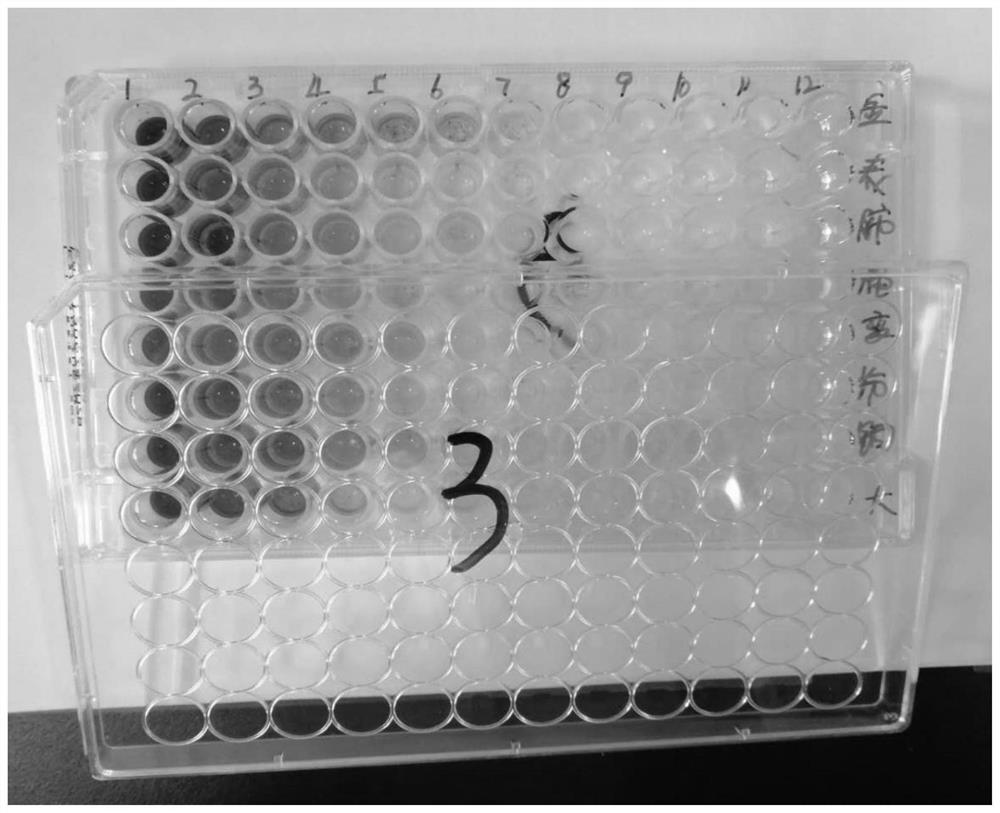 Application of Plum Extract in Preparation of Antibacterial Products