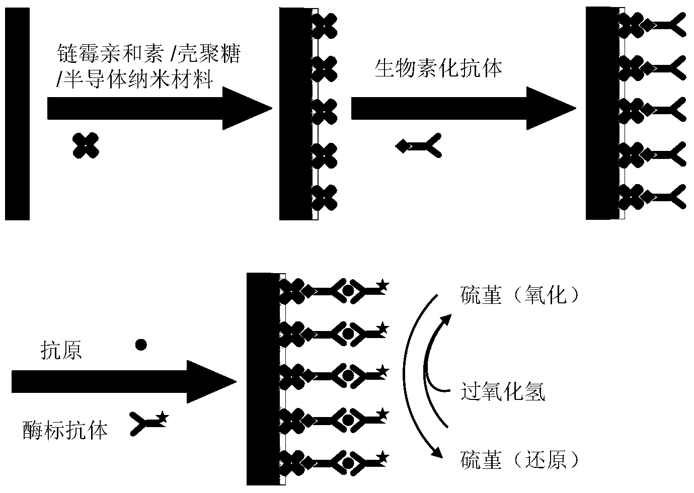 Streptavidin functionalized semiconductor nano material-based tumor marker electrochemical immunosensor and preparation method thereof