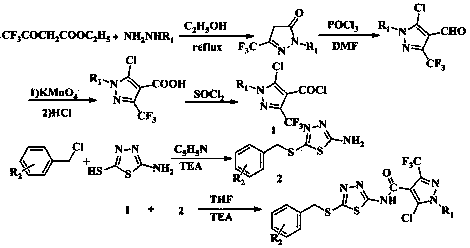 Pyrazole amide and pyrazole imine derivatives containing substituted 1, 3, 4-thiadiazole thioether as well as preparation method and application of derivatives