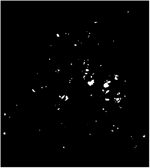 Additive for producing macrocrystalline fused magnesite