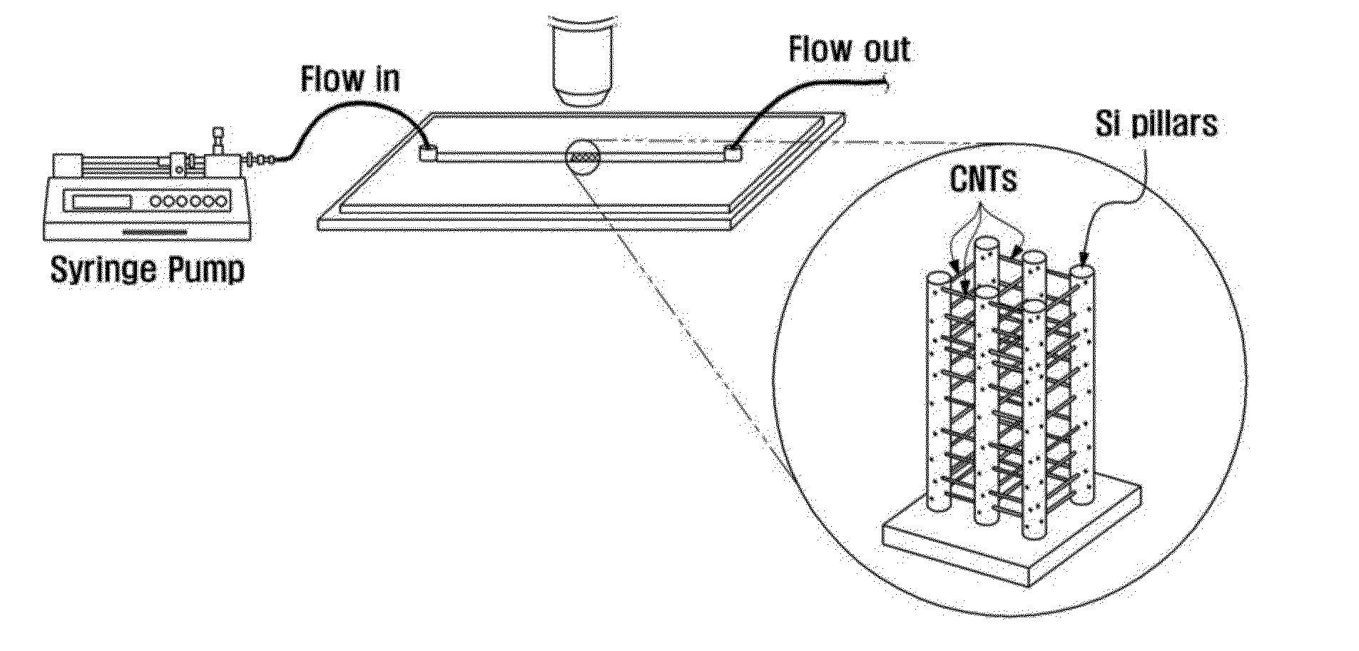 Microfluidic filter using three-dimensional carbon nanotube networks and preparation method thereof