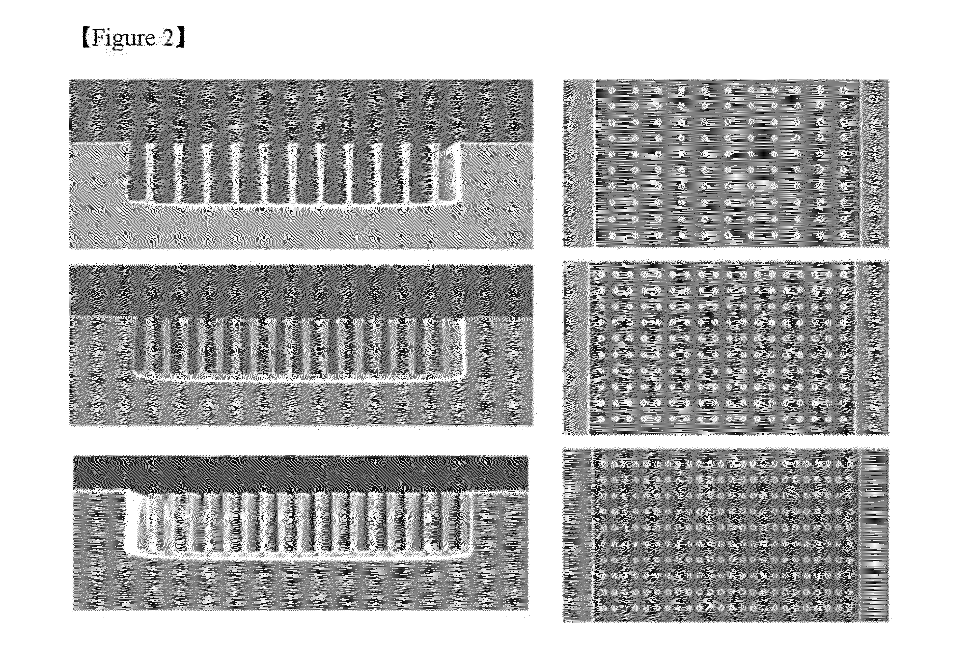 Microfluidic filter using three-dimensional carbon nanotube networks and preparation method thereof