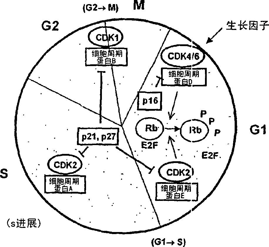 Sulfoximine-substituted pyrimidines as CDK-and/or VEGF inhibitors, their production and use as pharmaceutical agents