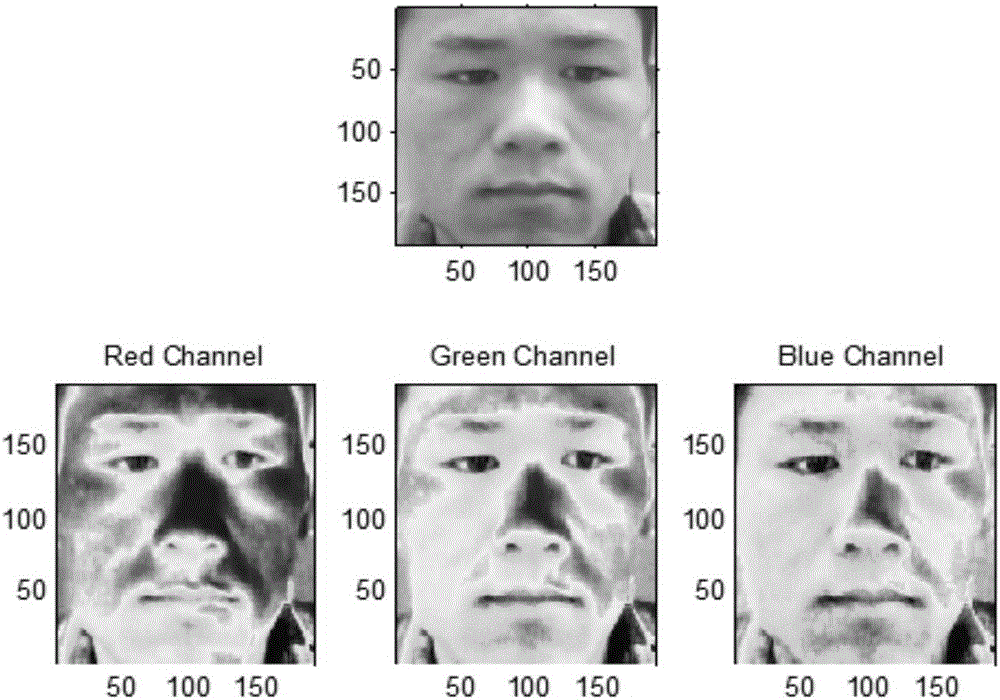 Human face video image based heart rate detection system and detection method