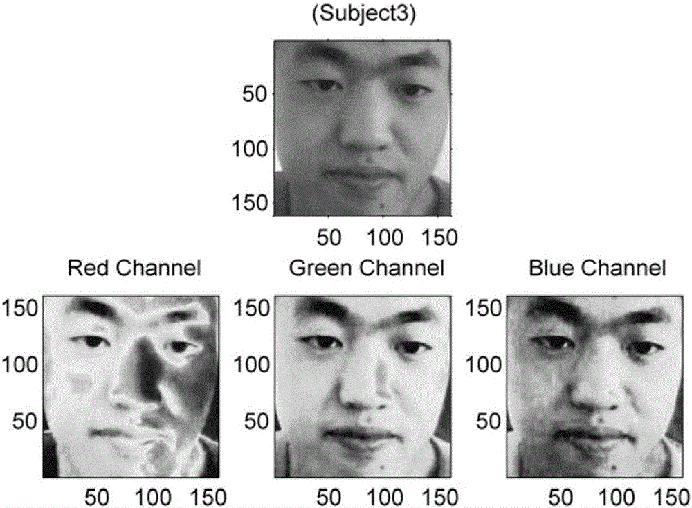 Human face video image based heart rate detection system and detection method