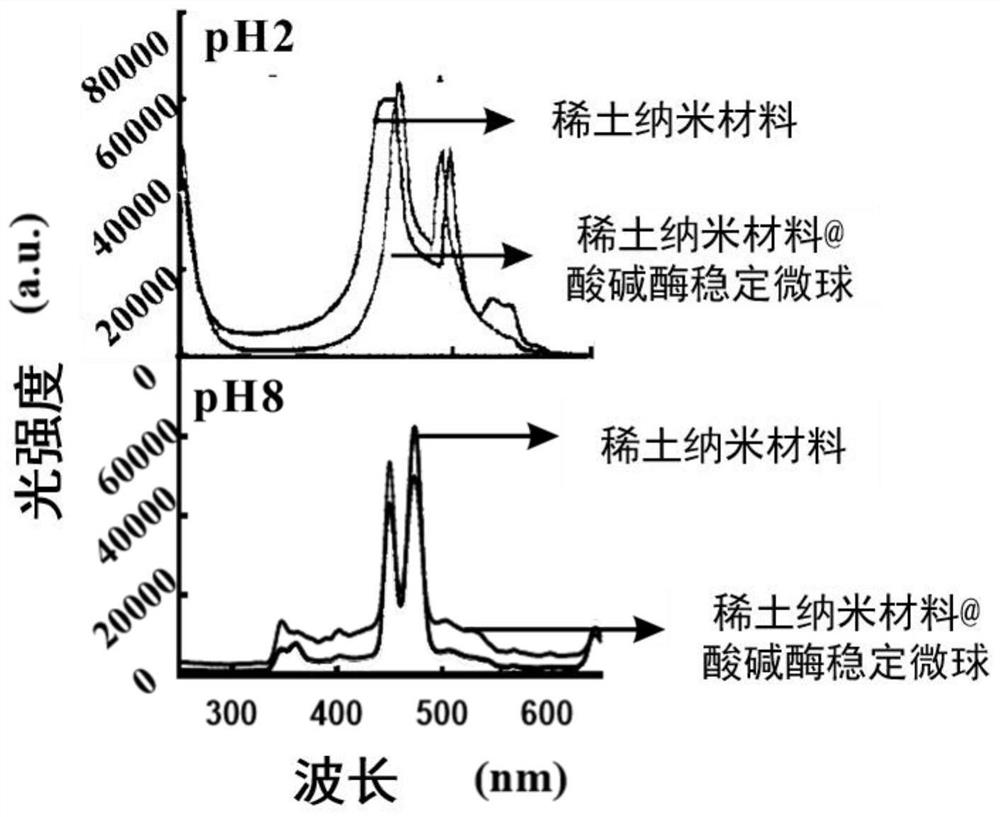 A light-responsive engineered bacteria intestinal targeting optogenetic carrier system and its construction method and application