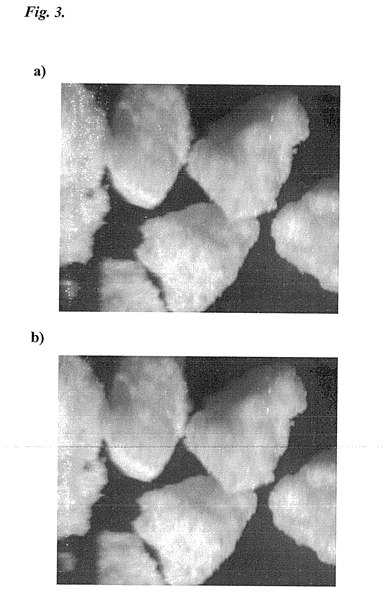 Development of Lipid Matrix Granules with Incorporation of Polysaccharides for Effective Delivery of an Antimicrobial Essential Oil