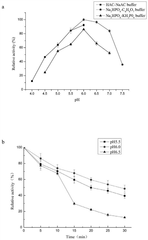 A kind of β-glucosidase with galacto-oligosaccharide synthesis ability and its expression strain and application