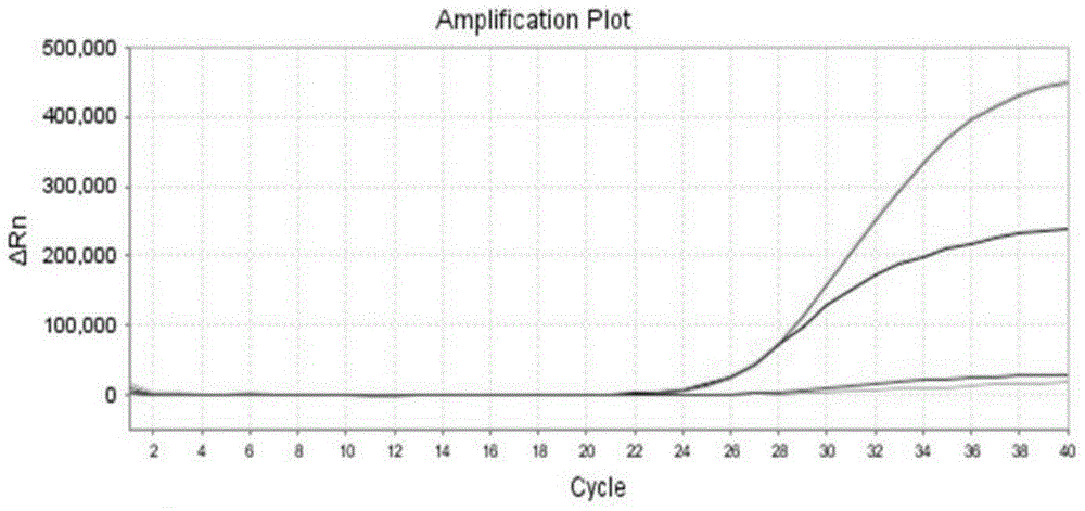 Primers, probes and kits for detecting g6pd deficiency gene mutation