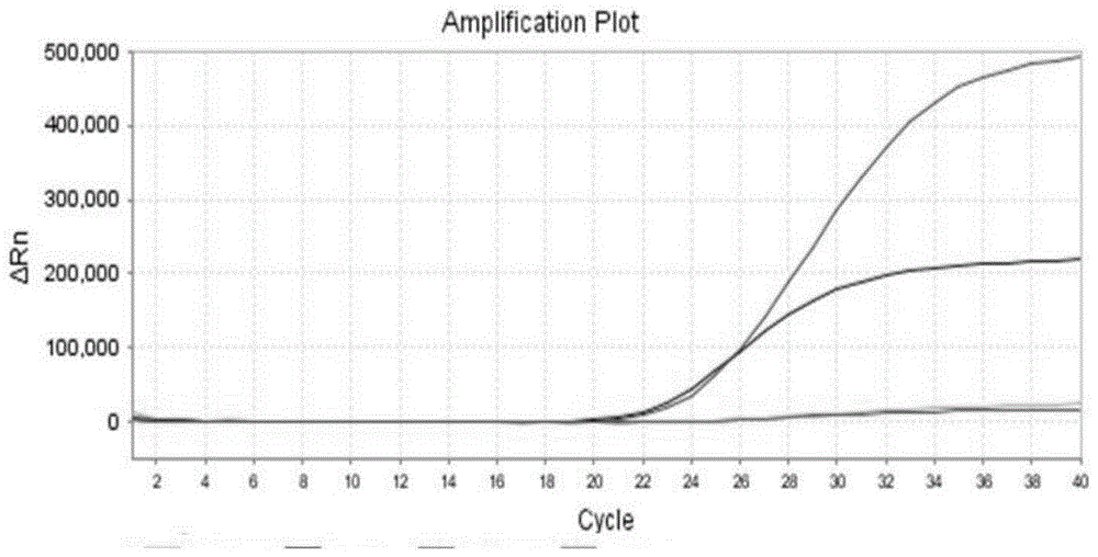 Primers, probes and kits for detecting g6pd deficiency gene mutation