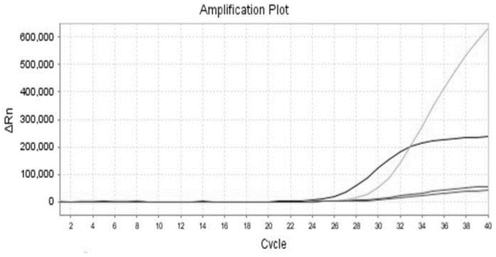 Primers, probes and kits for detecting g6pd deficiency gene mutation