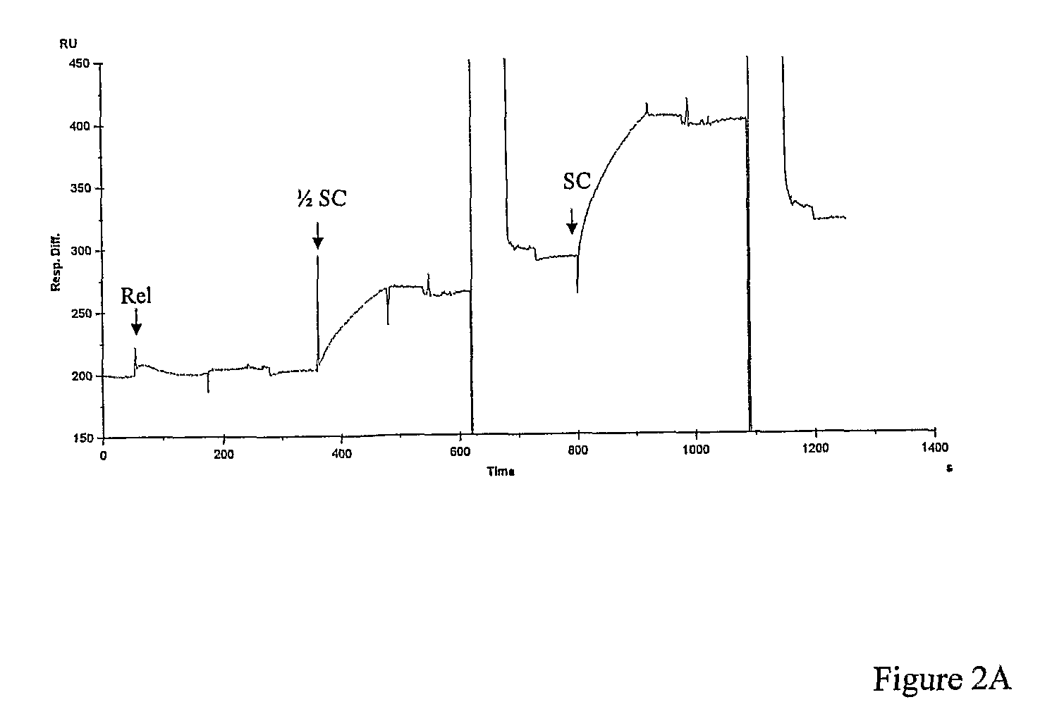 Assay for Measuring an Enzyme's Capability to Modify Supercoil Topology of Nucleic Acids and Modulators