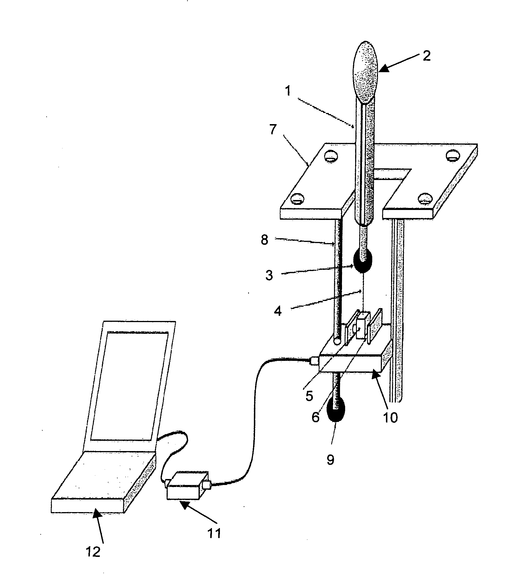 Pelvic floor function diagnostic and therapeutic station and uses thereof