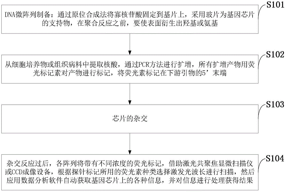 Method for detecting pig viral diseases on basis of TEM-PCR and gene chip