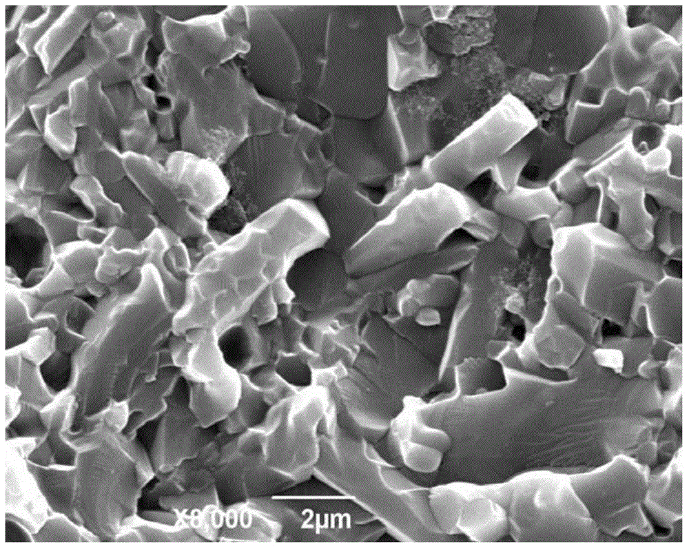 Method for preparing bulk ceramic material from iron-silicon nitride powder