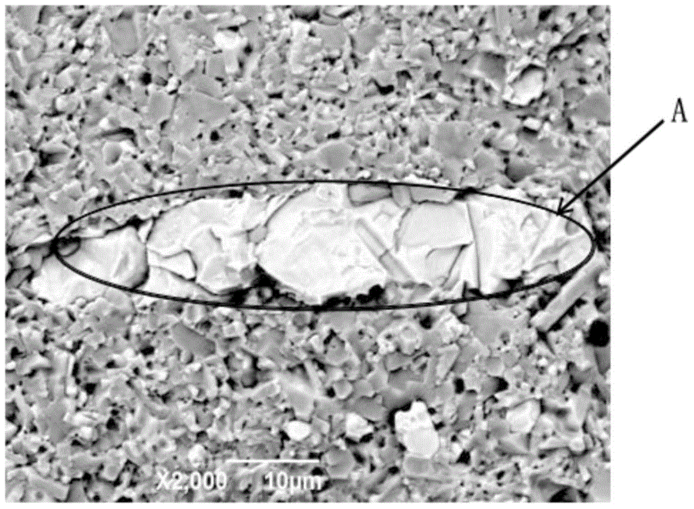 Method for preparing bulk ceramic material from iron-silicon nitride powder