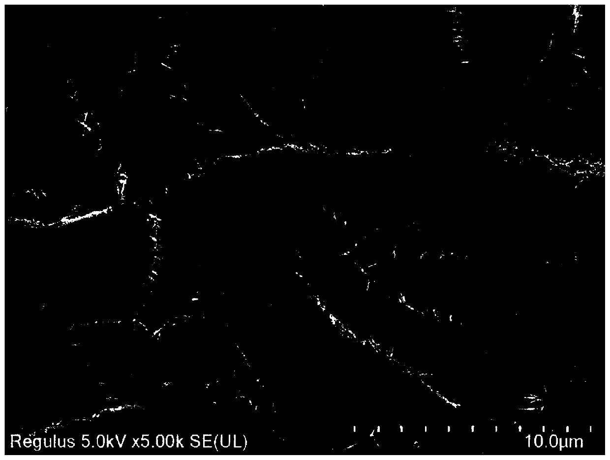 Copper-cobalt-sulfur nanosheet array/molybdenum foil composite material and preparation method and application thereof