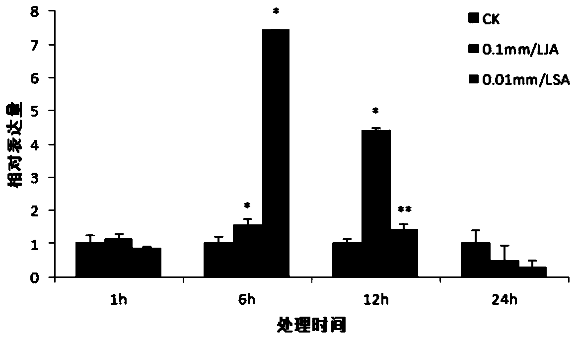 Application of Verticillium Wilt resistance-related gene GhSDH1-1