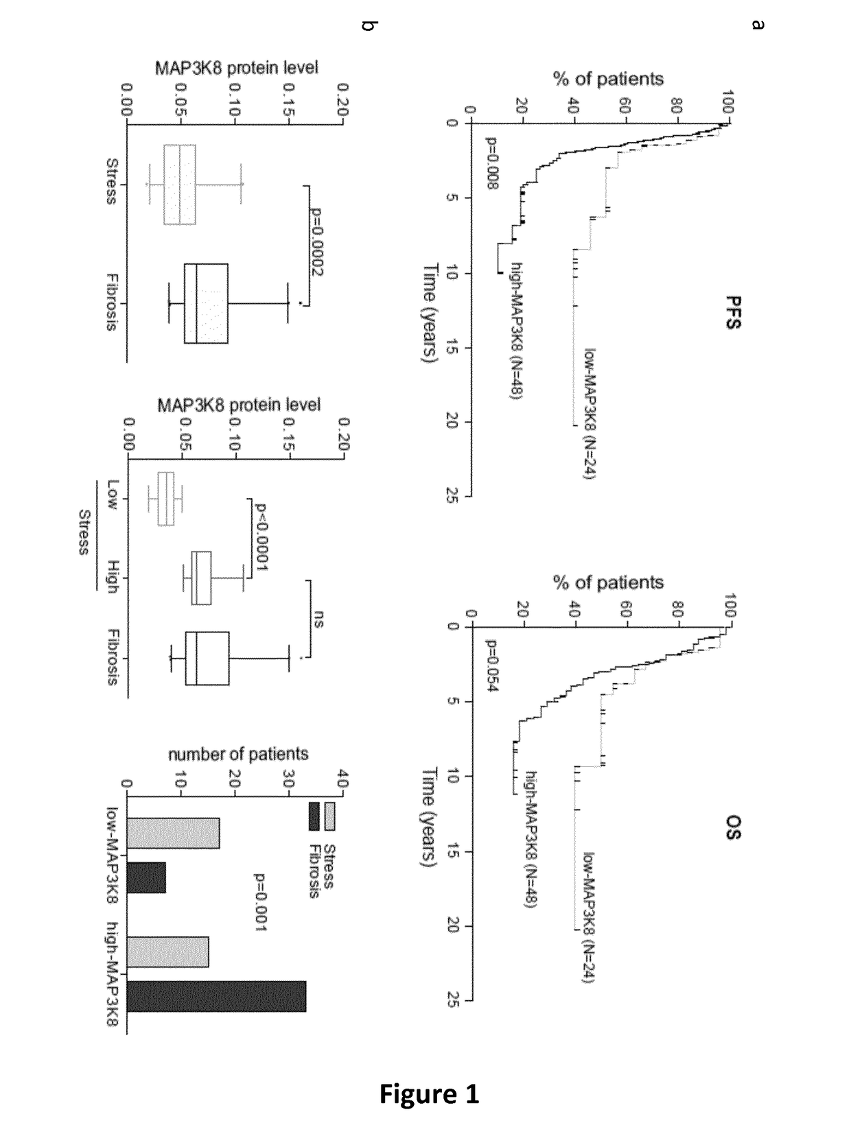 Map3k8 as a marker for selecting a patient affected with an ovarian cancer for a treatment with a mek inhibitor