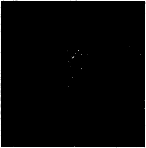 Saccharomyces cerevisiae and application thereof